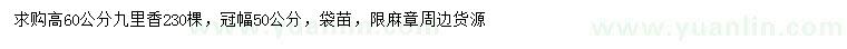 求購高60公分九里香
