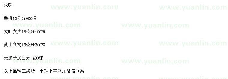 求購垂柳、大葉女貞、黃山欒樹等