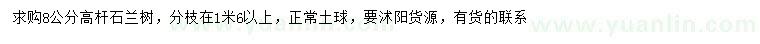 求購(gòu)8公分高桿石楠