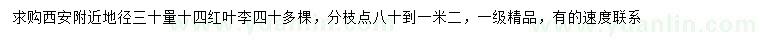 求購(gòu)30量14公分紅葉李