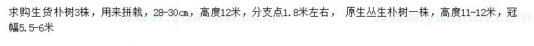 求購28-30公分樸樹、高11-12米叢生樸樹