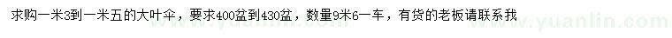 求購1.3-1.5米大葉傘
