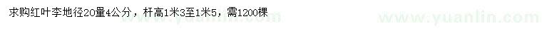 求購20量4公分紅葉李