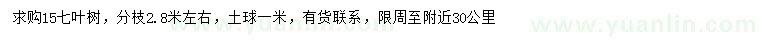 求購15公分七葉樹