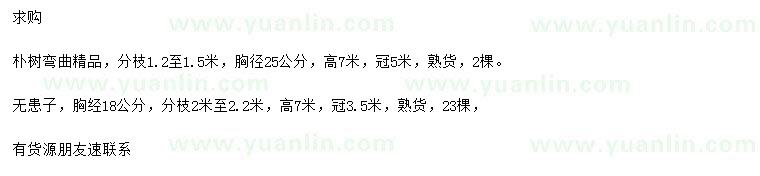求購胸徑25公分樸樹、胸徑18公分無患子