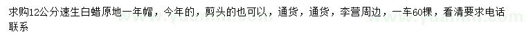 求購12公分速生白蠟