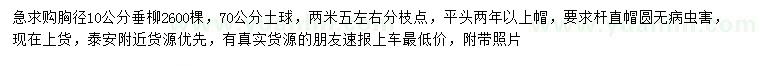 求購胸徑10公分垂柳
