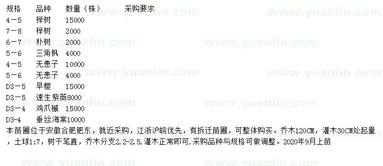 求購櫸樹 、樸樹、三角楓等
