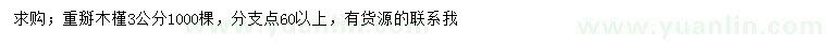 求購3公分重掰木槿