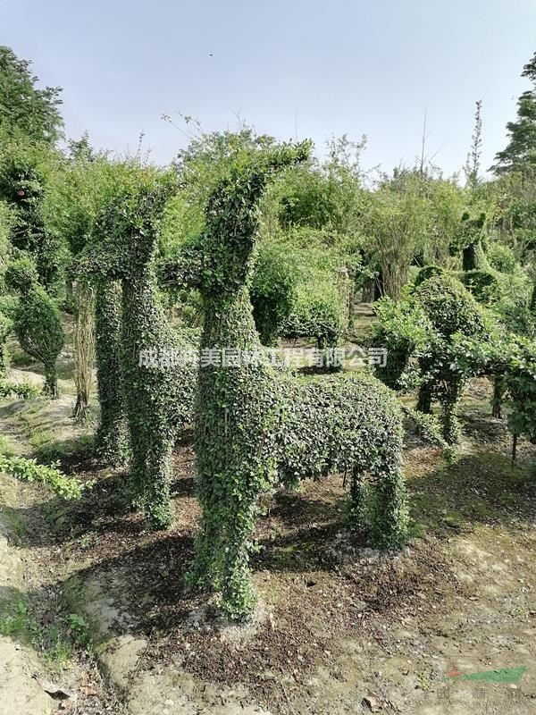 長(zhǎng)頸鹿造型價(jià)格多少，長(zhǎng)頸鹿造型成都基地貨源