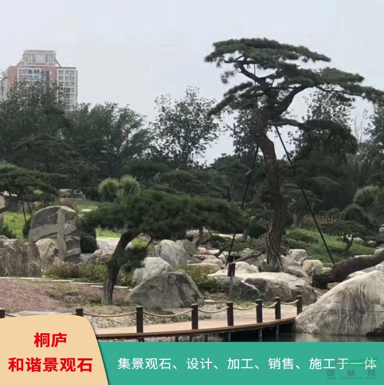 自然石泰山石雪浪石園林石風(fēng)景石