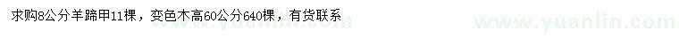 求購(gòu)8公分羊蹄甲、高60公分變色木
