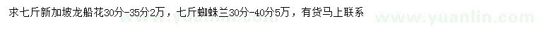 求購30-35公分新加坡龍船花、30-40公分蜘蛛蘭