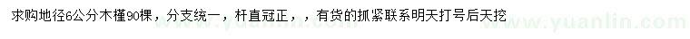 求購地徑6公分木槿