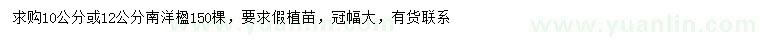 求購10、12公分南洋楹