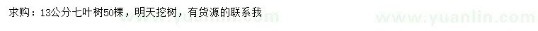 求購13公分七葉樹