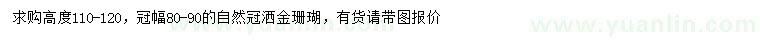求購高110-120公分灑金珊瑚