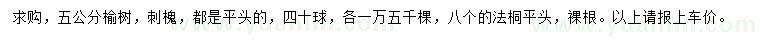 求購榆樹、刺槐、法桐