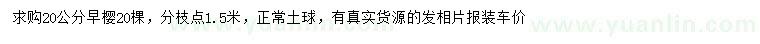 求購(gòu)20公分早櫻