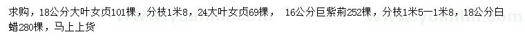 求購大葉女貞、巨紫荊、白蠟