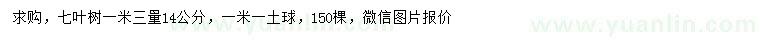 求購1.3米量14公分七葉樹