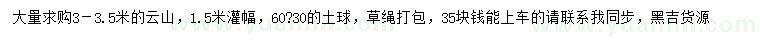 求購3-3.5米云杉