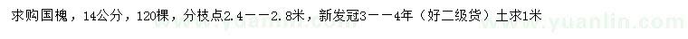 求購14公分國槐