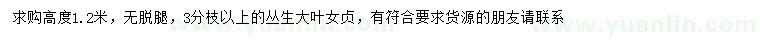 求購高1.2米叢生大葉女貞