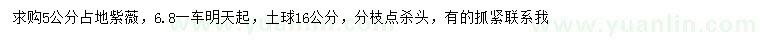 求購5公分紫薇