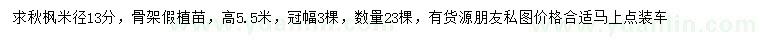 求購米徑13分秋楓
