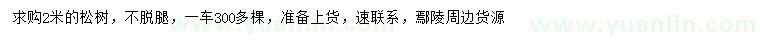 求購2米松樹