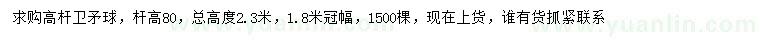 求購(gòu)冠幅1.8米高桿衛(wèi)矛球