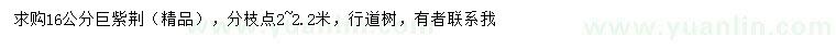 求購(gòu)16公分巨紫荊
