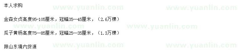 求購(gòu)高95-105公分金森女貞、高75-85公分瓜子黃楊