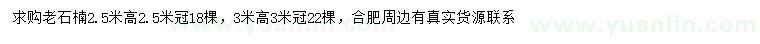 求購高2.5米老石楠