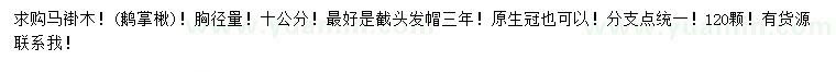 求購胸徑10公分馬褂木