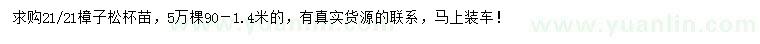 求購21-21公分樟子松杯苗