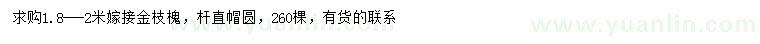 求購1.8-2米嫁接金枝槐