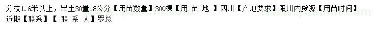 求購18公分元寶楓