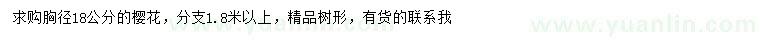 求購胸徑18公分櫻花