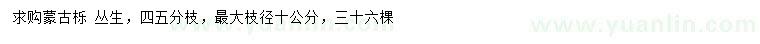 求購枝徑10公分蒙古櫟