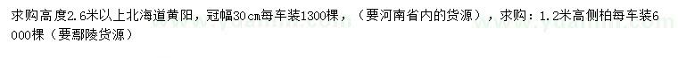 求購高度2.6米北海道黃陽