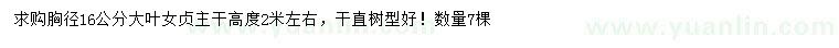 求購胸徑16公分大葉女貞