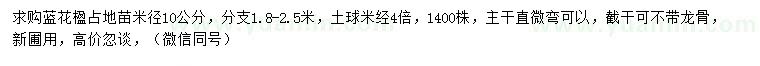 求購米徑10公分藍花楹
