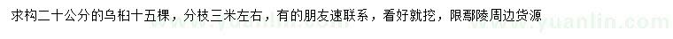 求購20公分烏桕