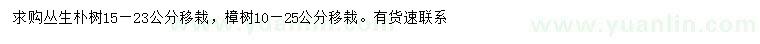 求購(gòu)15-23公分叢生樸樹、10-25公分樟樹