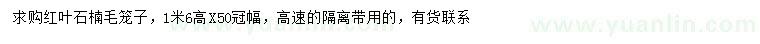 求購高1.6米紅葉石楠