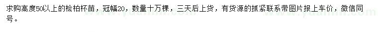 求購高50公分以上檜柏