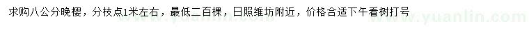 求購8公分晚櫻