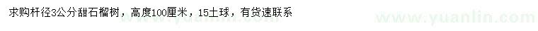求購3公分甜石榴樹